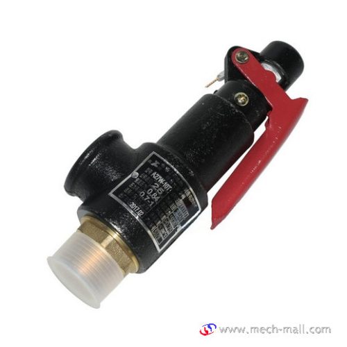 A27W-10T DN25 Spring-loaded Safety Valve